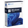 Windows 11 Home - Licence - 1 licence - OEM - DVD - 64-bit - français