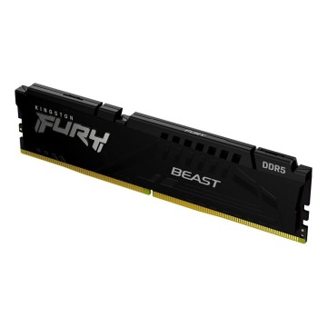 Kingston Technology FURY Beast 32 Go 5600 MT/s DDR5 CL36 DIMM Black EXPO 