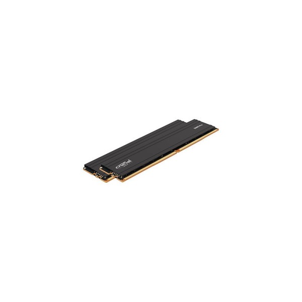 Crucial Pro module de mémoire 96 Go 2 x 48 Go DDR5 5600 MHz 