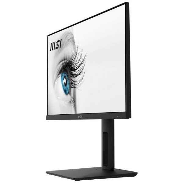 MSI Pro MP242AP écran plat de PC 60,5 cm (23.8") 1920 x 1080 pixels Full HD Noir 