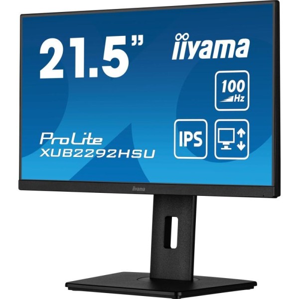 iiyama ProLite XUB2292HSU-B6 écran plat de PC 55,9 cm (22") 1920 x 1080 pixels Full HD LED Noir 