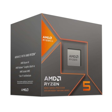 AMD Ryzen 5 8600G 