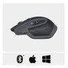 Logitech MX Master 2S Bluetooth Graphite *910-005966 